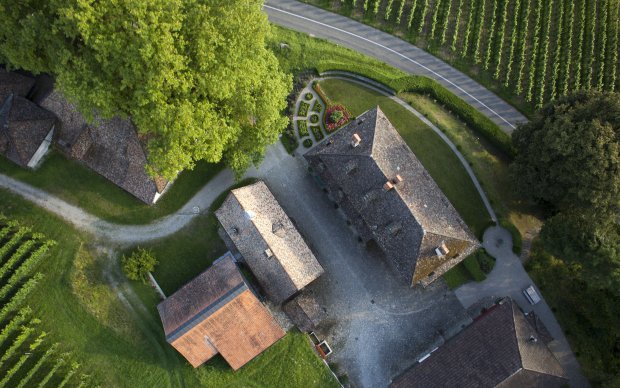 Eight generations of winemaking, carefully brought online