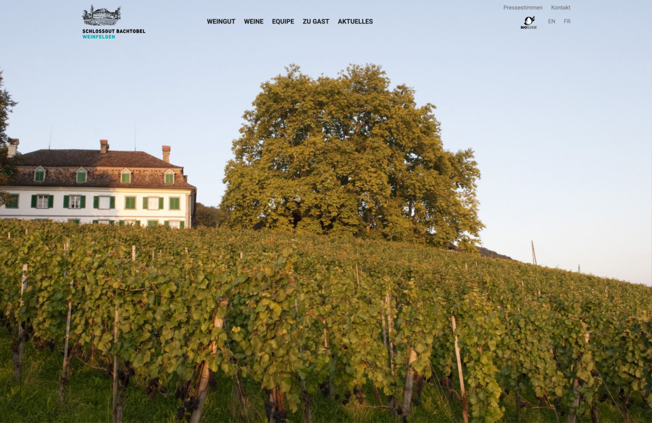Eight generations of winemaking, carefully brought online