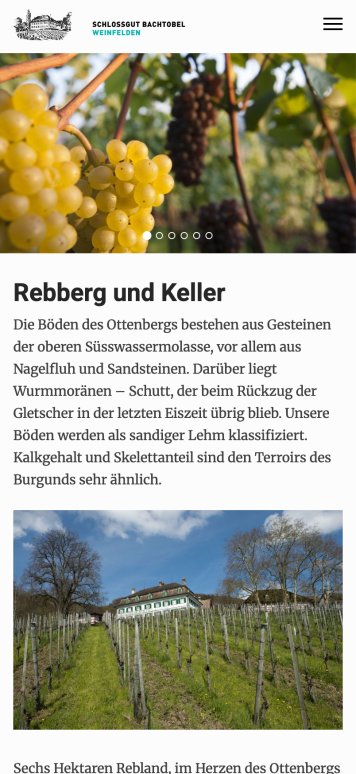 Eight generations of winemaking, carefully brought online
